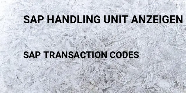 Sap handling unit anzeigen transaktion Tcode in SAP