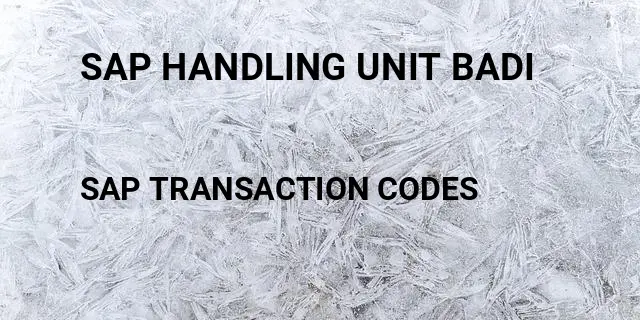 Sap handling unit badi Tcode in SAP