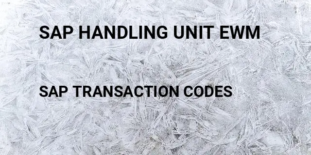 Sap handling unit ewm Tcode in SAP