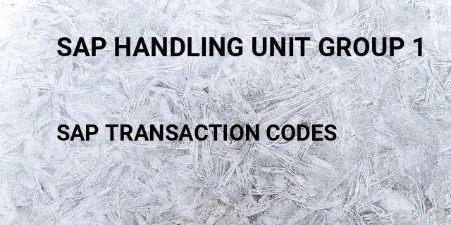 Sap handling unit group 1 Tcode in SAP