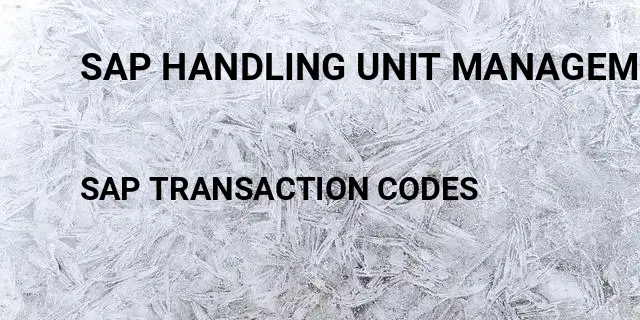 Sap handling unit management configuration guide pdf Tcode in SAP