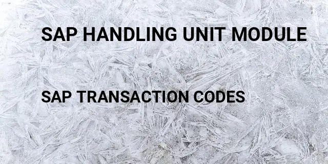 Sap handling unit module Tcode in SAP