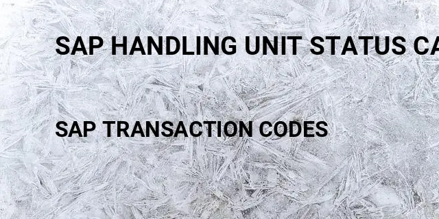 Sap handling unit status cannot be changed Tcode in SAP