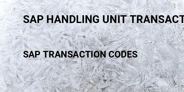 Sap handling unit transaction Tcode in SAP