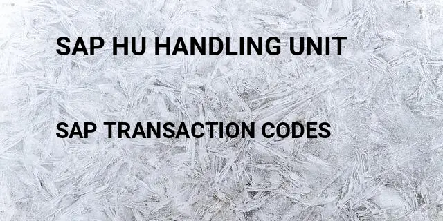 Sap hu handling unit Tcode in SAP