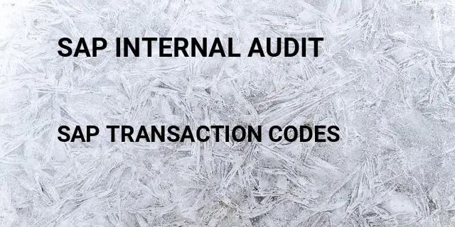 Sap internal audit Tcode in SAP