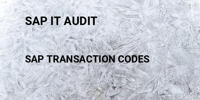Sap it audit Tcode in SAP