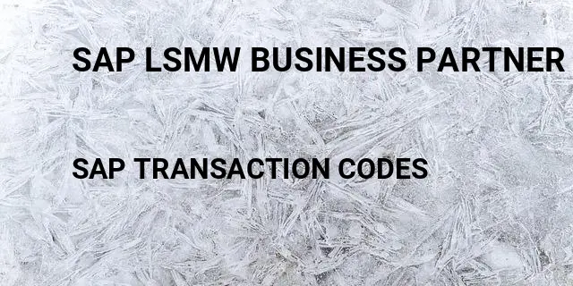Sap lsmw business partner Tcode in SAP