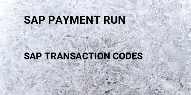 Sap payment run Tcode in SAP
