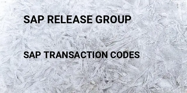 Sap release group Tcode in SAP