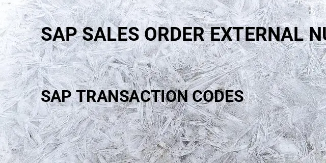 Sap sales order external number range Tcode in SAP