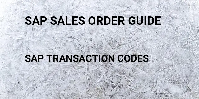 Sap sales order guide Tcode in SAP