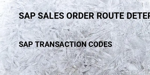 Sap sales order route determination Tcode in SAP