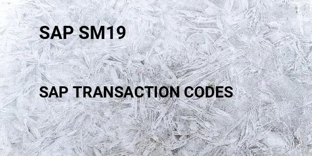 Sap sm19 Tcode in SAP
