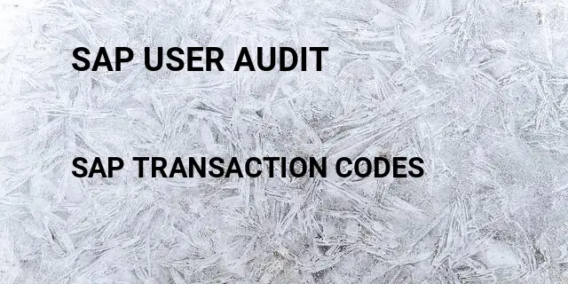 Sap user audit Tcode in SAP