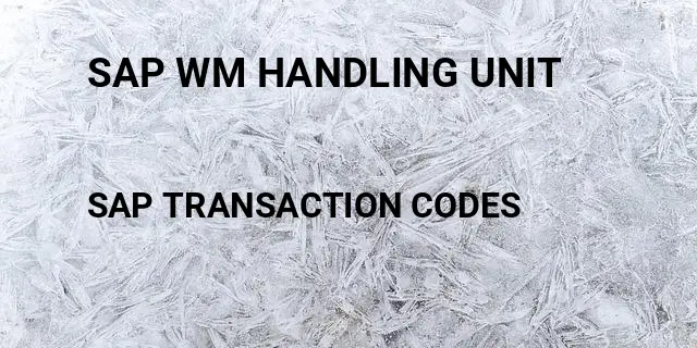 Sap wm handling unit Tcode in SAP
