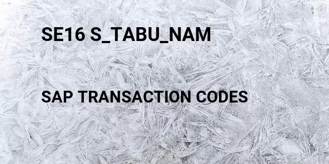Se16 s_tabu_nam Tcode in SAP