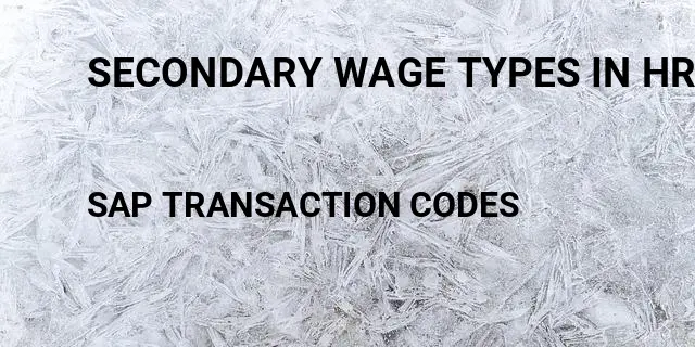 Secondary wage types in hr Tcode in SAP