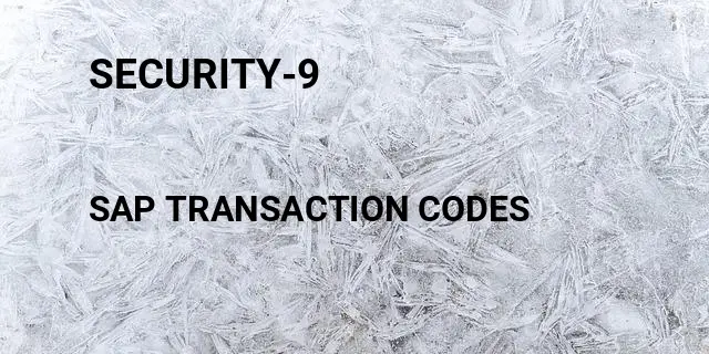 Security-9 Tcode in SAP