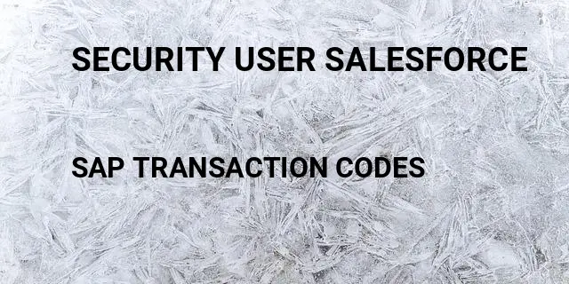 Security user salesforce Tcode in SAP