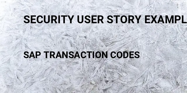 Security user story examples Tcode in SAP