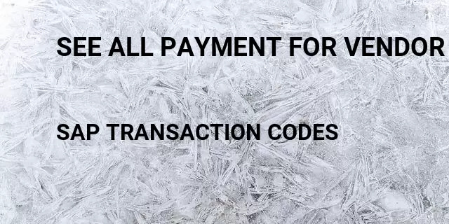 See all payment for vendor Tcode in SAP
