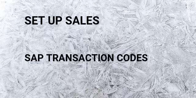 Set up sales Tcode in SAP