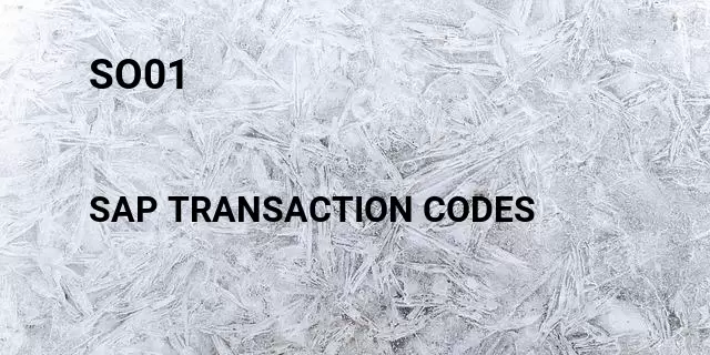 So01 Tcode in SAP