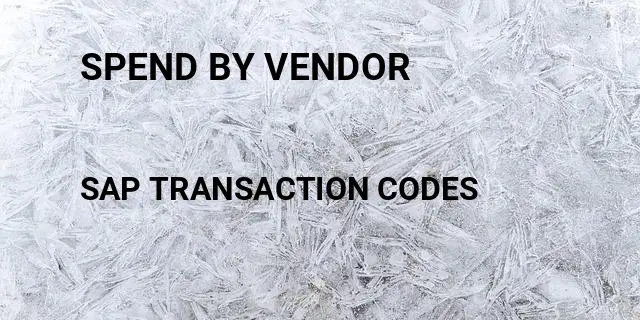 Spend by vendor Tcode in SAP