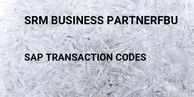 Srm business partnerfbu Tcode in SAP