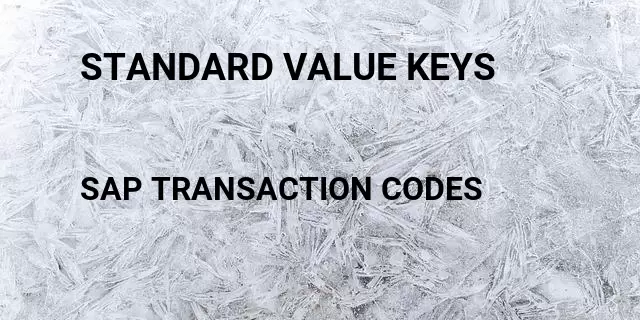 Standard value keys Tcode in SAP