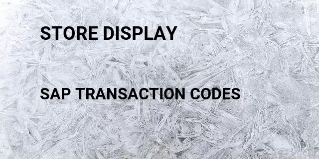 Store display Tcode in SAP