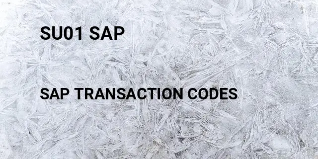 Su01 sap Tcode in SAP