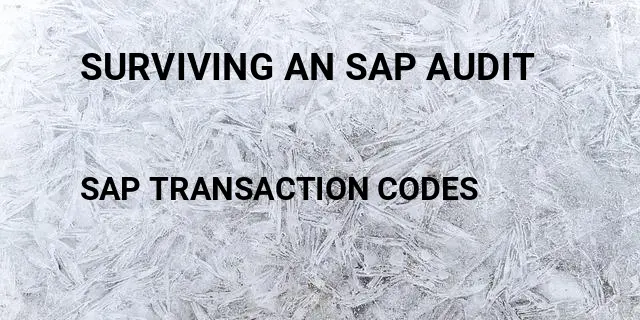 Surviving an sap audit Tcode in SAP