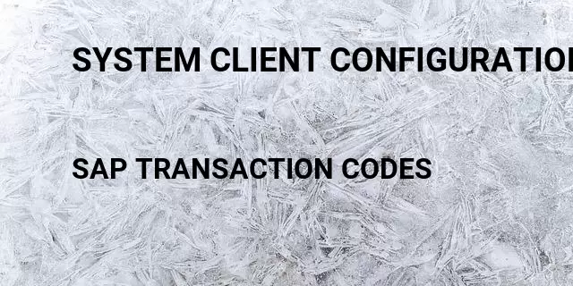 System client configuration Tcode in SAP