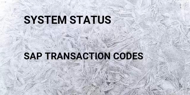 System status Tcode in SAP