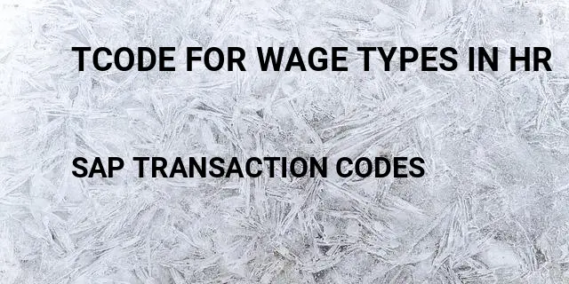 Tcode for wage types in hr Tcode in SAP