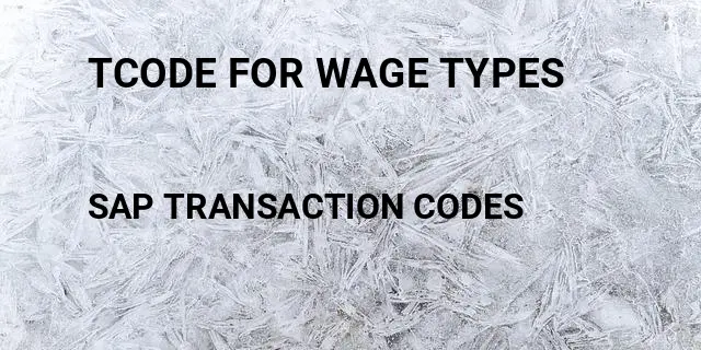 Tcode for wage types Tcode in SAP