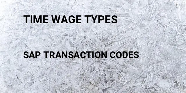 Time wage types Tcode in SAP