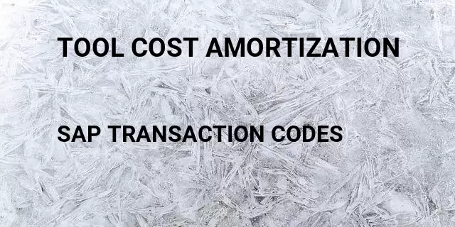 Tool cost amortization Tcode in SAP