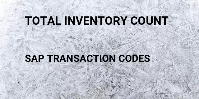 Total inventory count Tcode in SAP