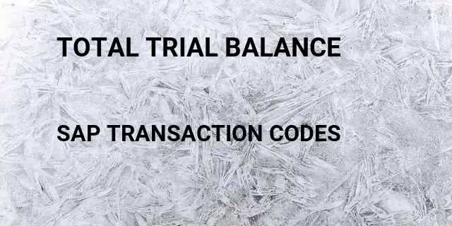 Total trial balance Tcode in SAP