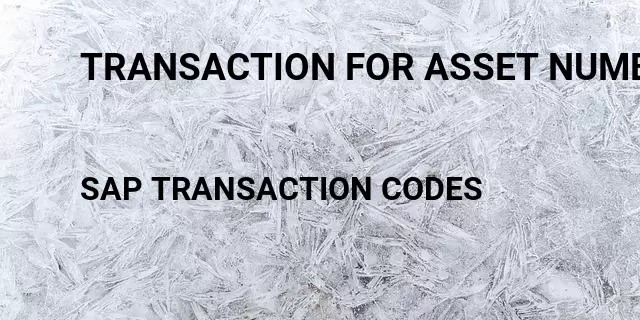 Transaction for asset number Tcode in SAP