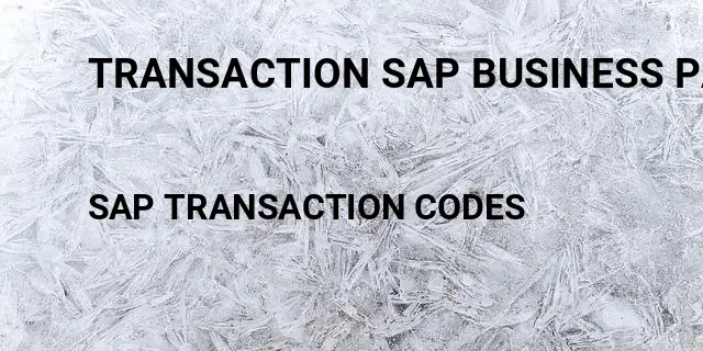 Transaction sap business partner Tcode in SAP