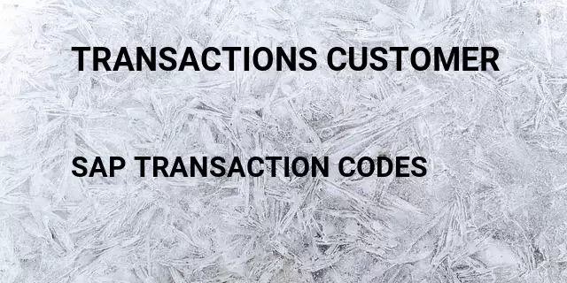 Transactions customer Tcode in SAP