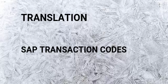 Translation Tcode in SAP