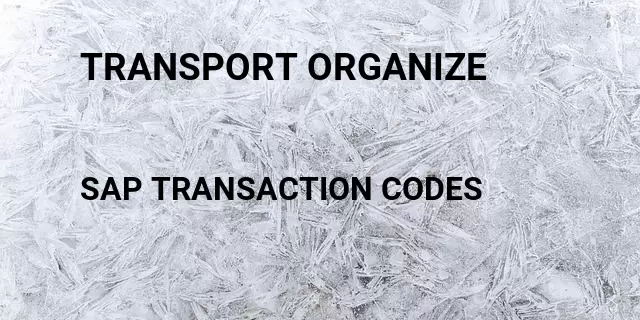 Transport organize Tcode in SAP