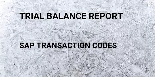 Trial balance report Tcode in SAP