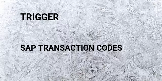 Trigger Tcode in SAP