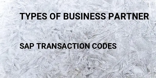 Types of business partner Tcode in SAP